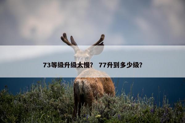 73等级升级太慢？ 77升到多少级？