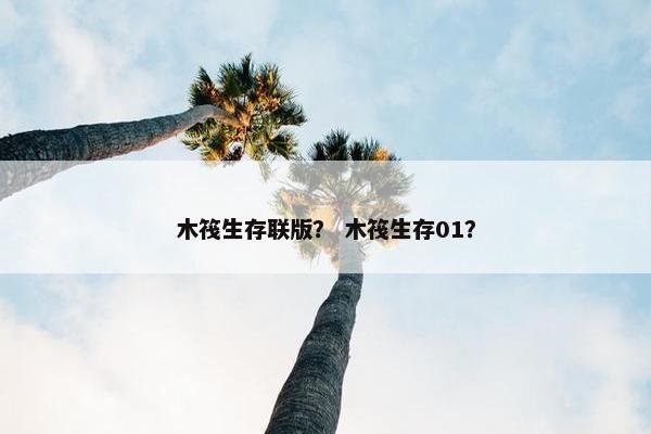 木筏生存联版？ 木筏生存01？
