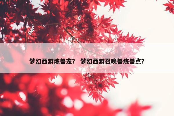 梦幻西游炼兽宠？ 梦幻西游召唤兽炼兽点？