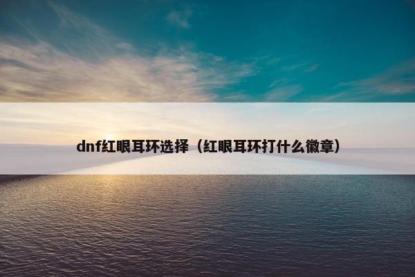 dnf红眼耳环选择（红眼耳环打什么徽章）