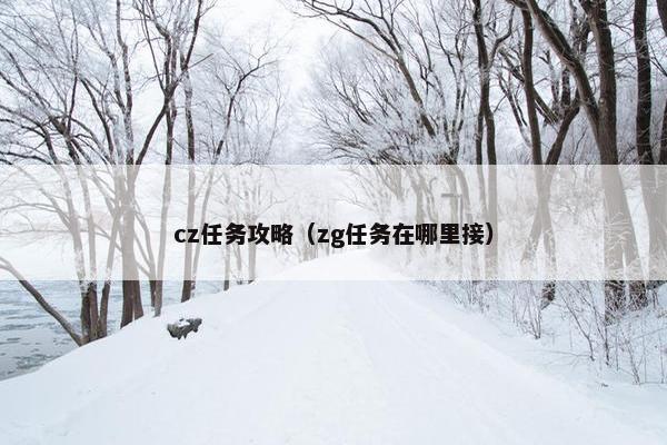 cz任务攻略（zg任务在哪里接）