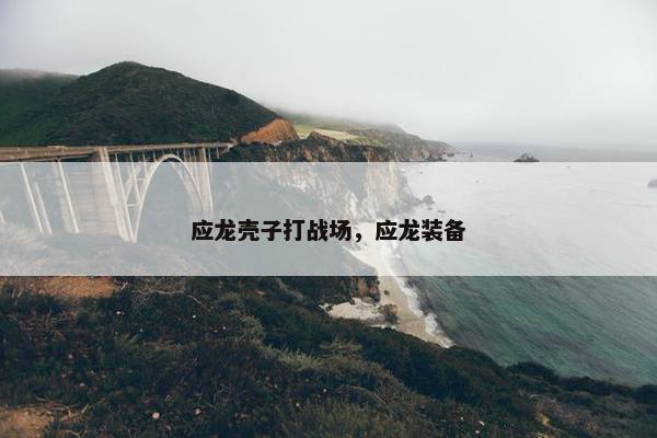 应龙壳子打战场，应龙装备