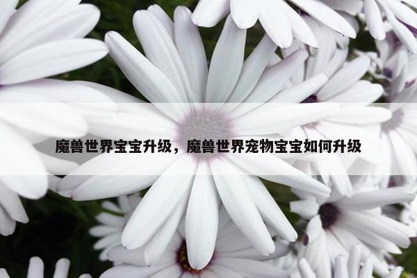 魔兽世界宝宝升级，魔兽世界宠物宝宝如何升级