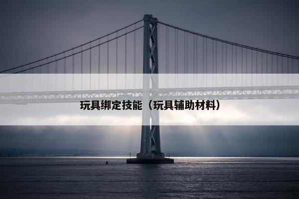 玩具绑定技能（玩具辅助材料）