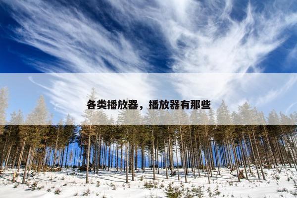 各类播放器，播放器有那些