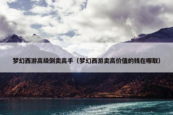梦幻西游高级倒卖高手（梦幻西游卖高价值的钱在哪取）