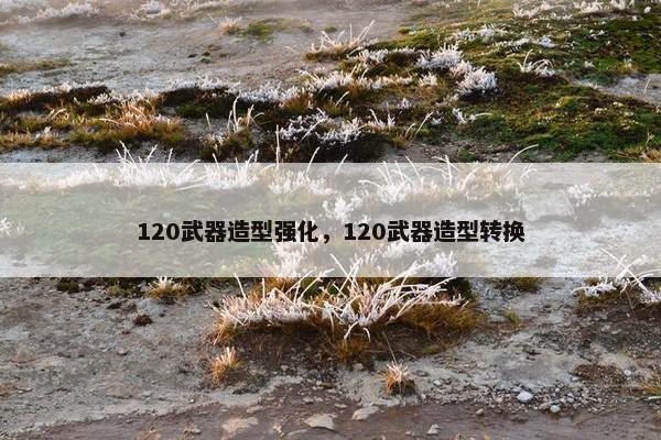 120武器造型强化，120武器造型转换