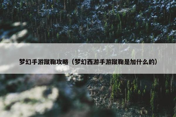 梦幻手游蹴鞠攻略（梦幻西游手游蹴鞠是加什么的）