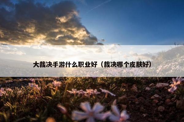 大裁决手游什么职业好（裁决哪个皮肤好）