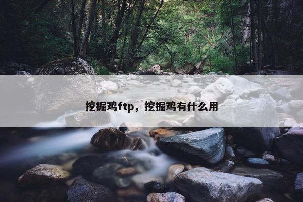 挖掘鸡ftp，挖掘鸡有什么用