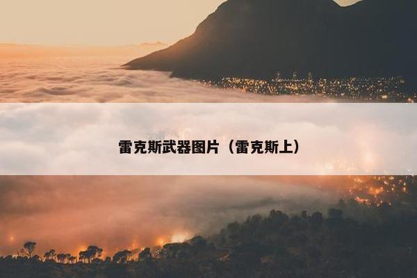 雷克斯武器图片（雷克斯上）