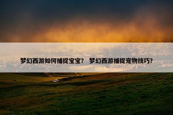 梦幻西游如何捕捉宝宝？ 梦幻西游捕捉宠物技巧？