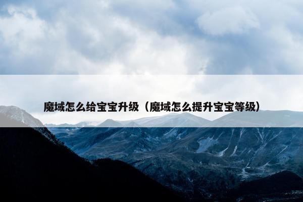 魔域怎么给宝宝升级（魔域怎么提升宝宝等级）