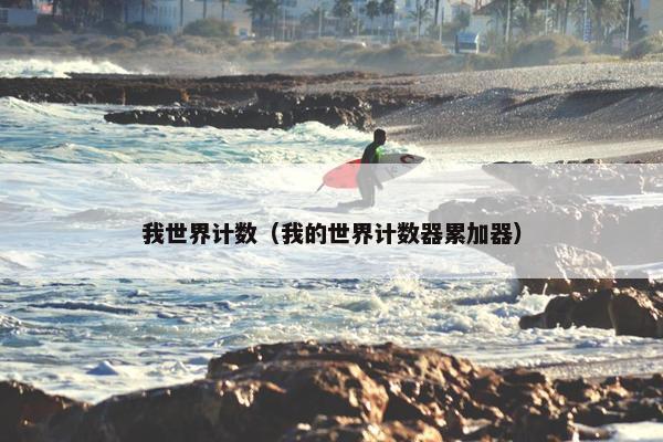 我世界计数（我的世界计数器累加器）