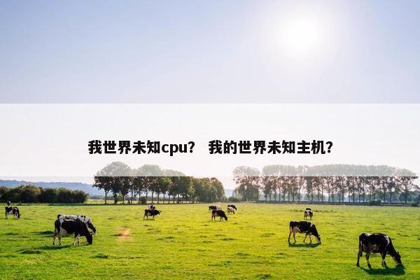 我世界未知cpu？ 我的世界未知主机？