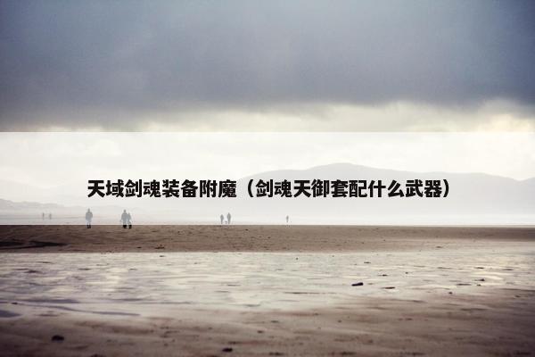 天域剑魂装备附魔（剑魂天御套配什么武器）
