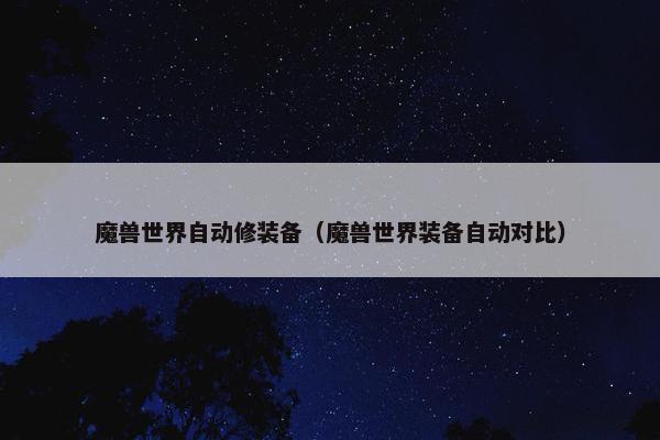魔兽世界自动修装备（魔兽世界装备自动对比）