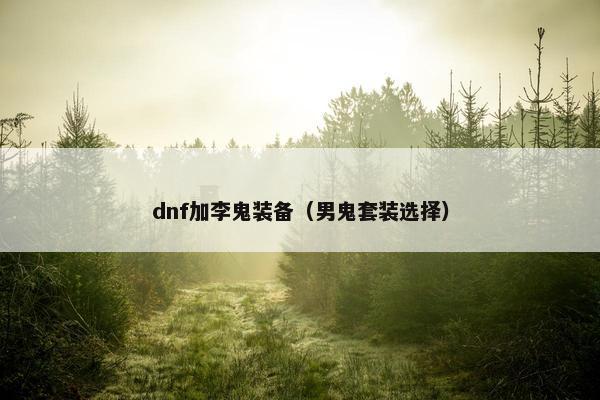 dnf加李鬼装备（男鬼套装选择）