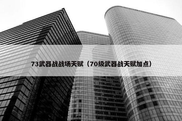 73武器战战场天赋（70级武器战天赋加点）