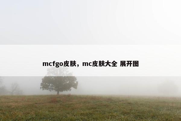 mcfgo皮肤，mc皮肤大全 展开图