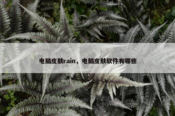 电脑皮肤rain，电脑皮肤软件有哪些