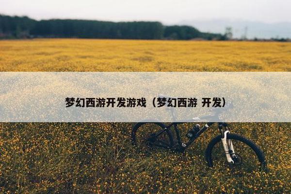 梦幻西游开发游戏（梦幻西游 开发）