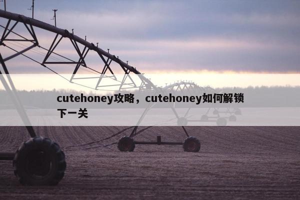 cutehoney攻略，cutehoney如何解锁下一关
