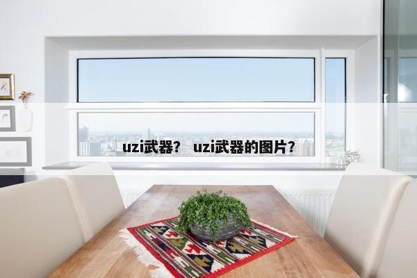 uzi武器？ uzi武器的图片？
