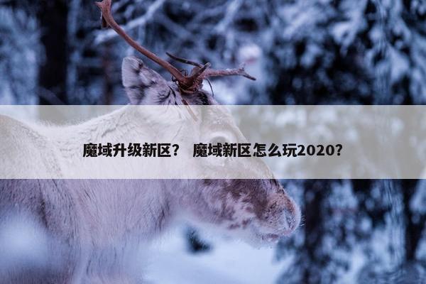 魔域升级新区？ 魔域新区怎么玩2020？
