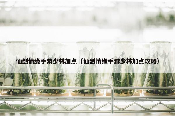仙剑情缘手游少林加点（仙剑情缘手游少林加点攻略）