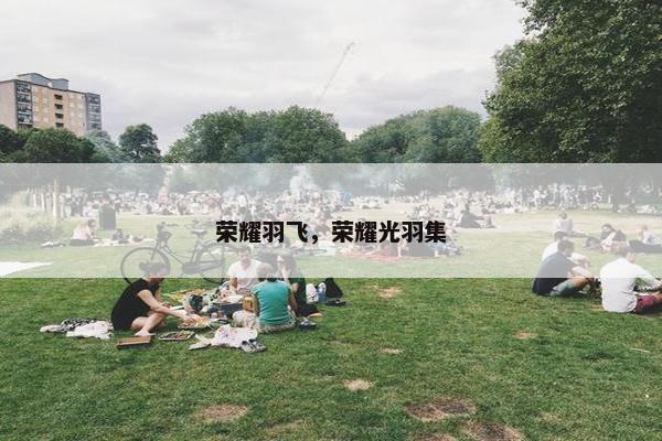 荣耀羽飞，荣耀光羽集