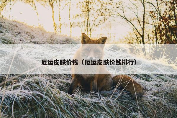厄运皮肤价钱（厄运皮肤价钱排行）
