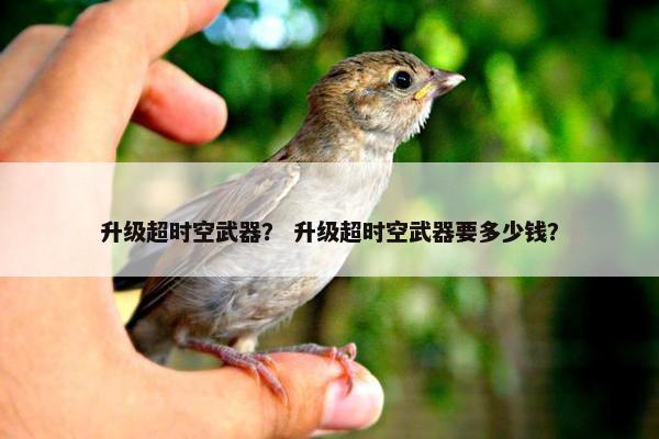 升级超时空武器？ 升级超时空武器要多少钱？
