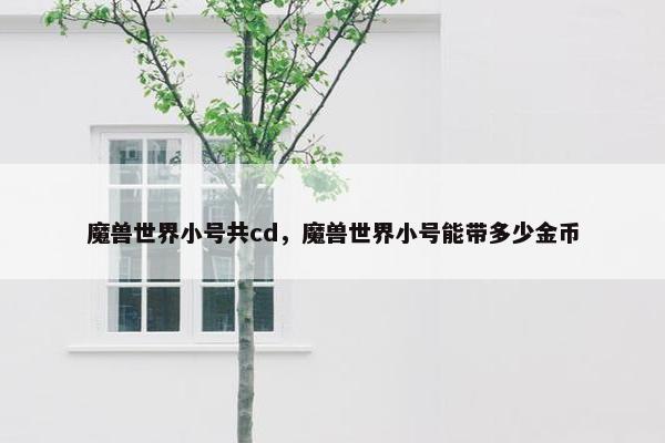 魔兽世界小号共cd，魔兽世界小号能带多少金币