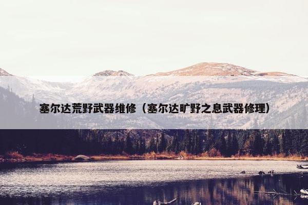 塞尔达荒野武器维修（塞尔达旷野之息武器修理）