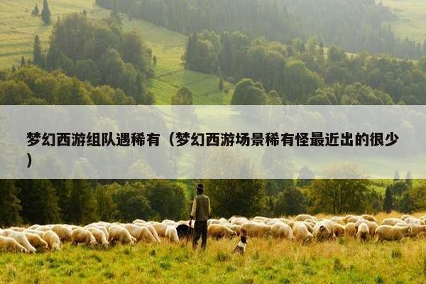 梦幻西游组队遇稀有（梦幻西游场景稀有怪最近出的很少）