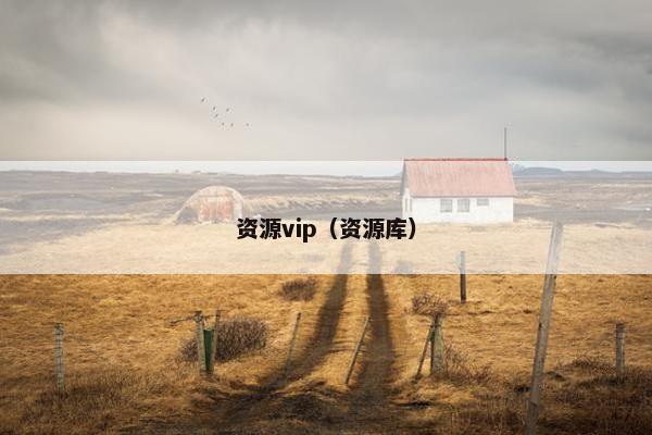 资源vip（资源库）