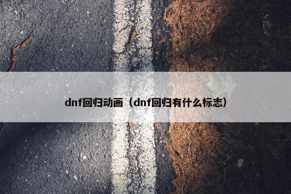 dnf回归动画（dnf回归有什么标志）
