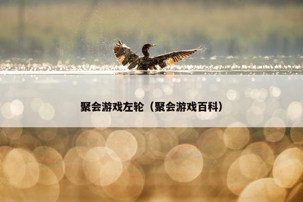 聚会游戏左轮（聚会游戏百科）