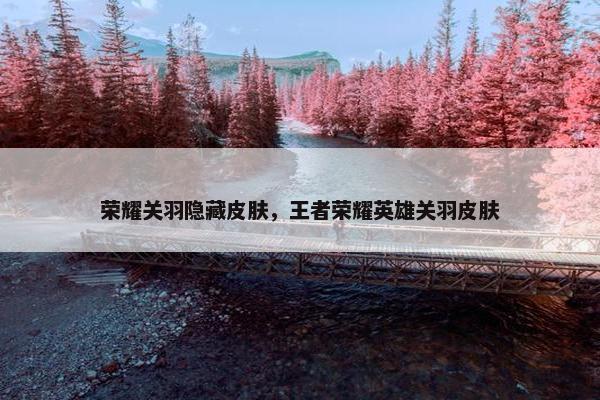 荣耀关羽隐藏皮肤，王者荣耀英雄关羽皮肤
