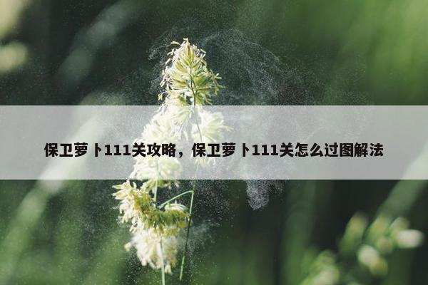 保卫萝卜111关攻略，保卫萝卜111关怎么过图解法