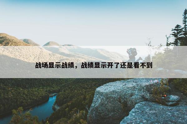 战场显示战绩，战绩显示开了还是看不到