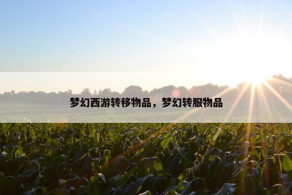 梦幻西游转移物品，梦幻转服物品