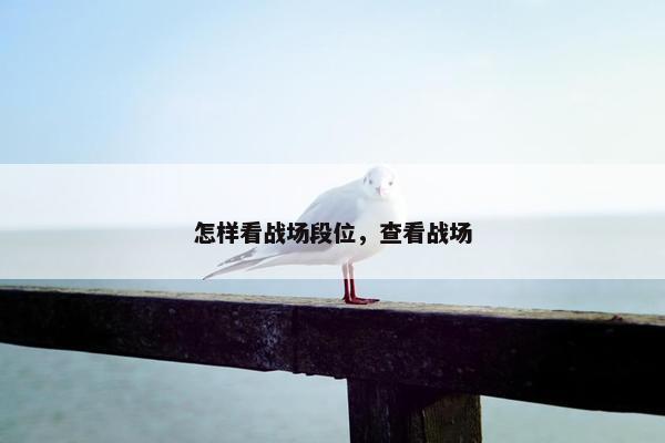 怎样看战场段位，查看战场