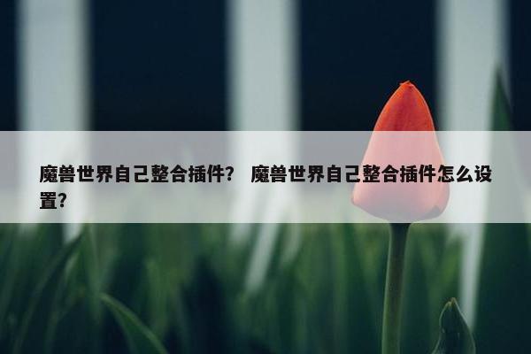 魔兽世界自己整合插件？ 魔兽世界自己整合插件怎么设置？