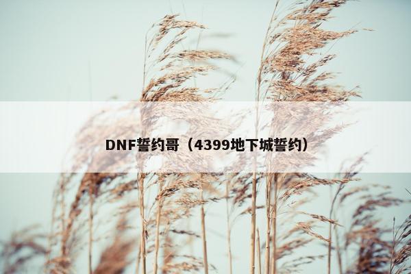 DNF誓约哥（4399地下城誓约）