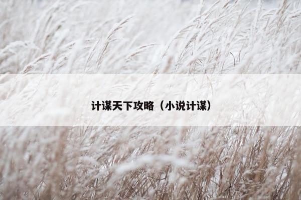 计谋天下攻略（小说计谋）
