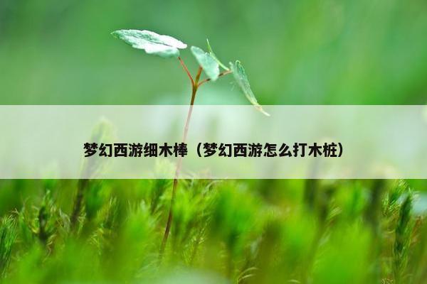 梦幻西游细木棒（梦幻西游怎么打木桩）