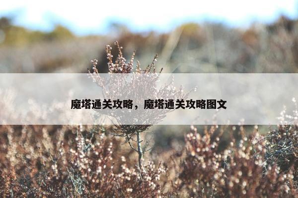 魔塔通关攻略，魔塔通关攻略图文