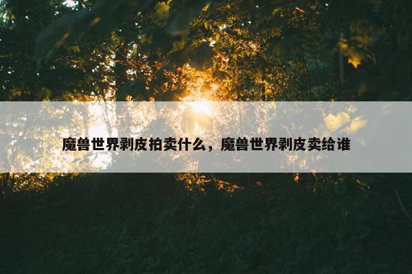 魔兽世界剥皮拍卖什么，魔兽世界剥皮卖给谁
